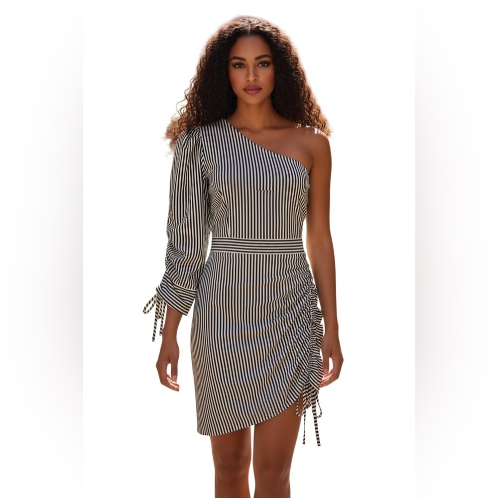PARKER L Navy White Pinstripe Menswear Shirtdress Dress R $368 NWT
